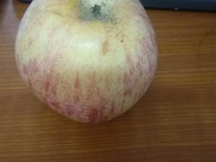 -富隆酒窖(天河北店)