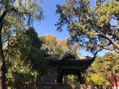 -晋祠公园