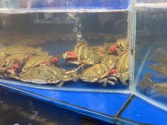 -天隆酒店·本地海鲜鲁菜(烟台大学店)