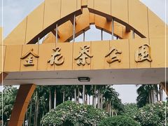 -金花茶公园