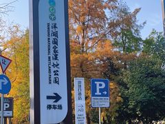 -洋湖国家湿地公园