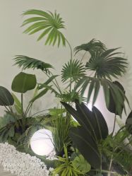 -HEYAN荷妍专业脱毛连锁机构