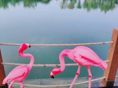 游乐设施-阳澄湖半岛旅游度假区