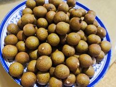 -亲子百果农庄
