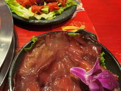 -谭鸭血老火锅(漳州路店)