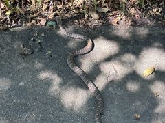 -大连冰峪旅游度假区