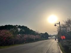 -杏花村文化旅游区