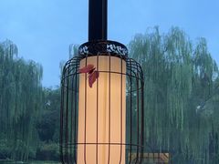 -食悦江南·淮扬菜·烤鸭(亚运村·惠新店)