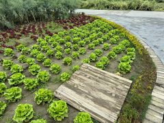 -中国天府农业博览园