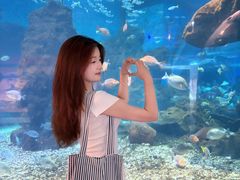 -海合安武汉极地海洋公园