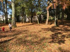 -中央革命根据地历史博物馆