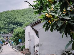 -鹿亭中村