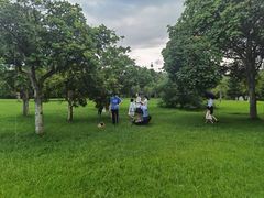 -福建鲤鱼洲酒店