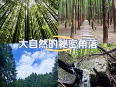 -山王坪喀斯特国家生态公园
