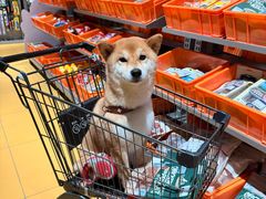 -MARSMART PETS火星宠物超市(1733店)