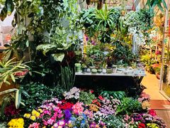 -溪岸路花鸟市场