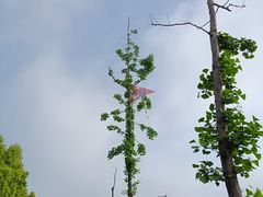-砂之船奥特莱斯(合肥店)