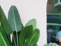 -新荔园茶餐厅(荔湾区府宿舍大院店)