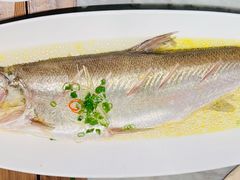 苏帮太湖白鱼-苏帮袁Sue Cuisine(将台店)