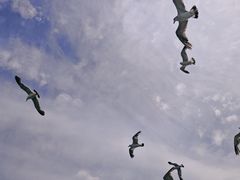 -海驴岛(荣成市)