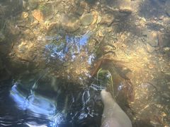 -万泉河漂流