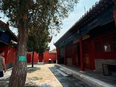 -药王庙(安国市)