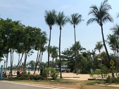 -巴拉湾海滩