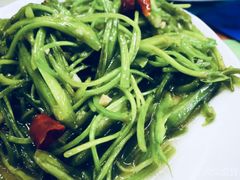 -泸沽肴(泸沽湖大洛水村农村信用社旁店)