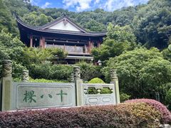 -十八棵（老龙井）御茶园(老龙井店)