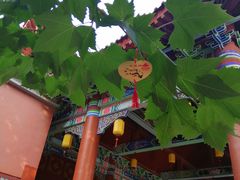 -青岛方特梦幻王国