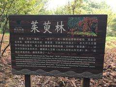 -东湖落雁景区