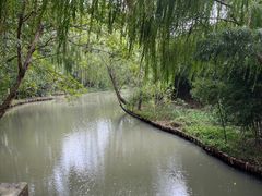 -同里国家湿地公园