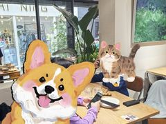 -有肉食·虎九闽菜(798艺术区店)