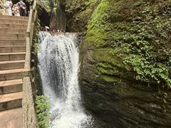 -牛背梁国家森林公园