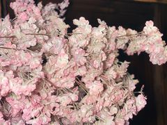 -白兔子密室(长寿路店)