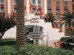-环球影城莲花园 The Lotus Garden Universal Studios 