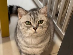 -平行世界·猫咖(首经贸店)