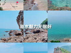 -鹿嘴山庄