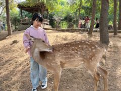 -观唐（国际）度假村温泉