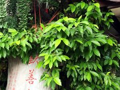 -钦善斋(武侯祠店)