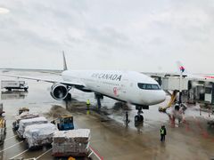 -上海浦东国际机场-T2航站楼