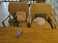 -猫咖时代(中山亭店)