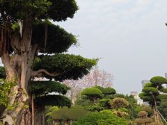 -南宁南湖公园