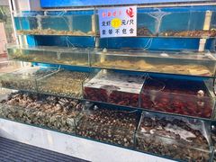 -仙螺岛海鲜自助餐厅(总店)
