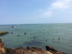 -海驴岛(荣成市)