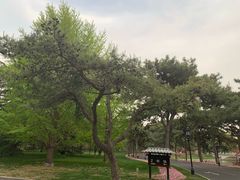 -钓鱼台国宾馆