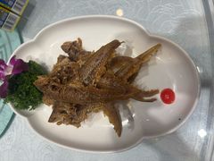 -金米箩大酒店(五角场店)