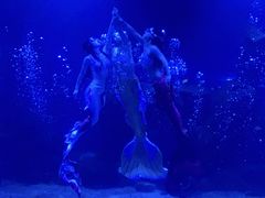 -石家庄海洋公园