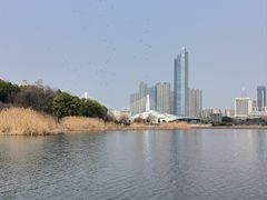 -月湖风景区