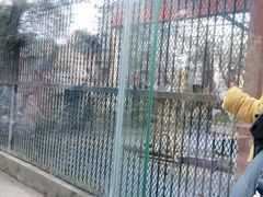-南昌动物园